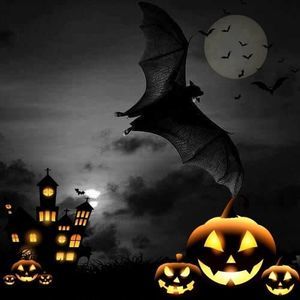 Meet your Posher, Jeanny